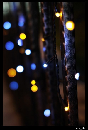 今天敗入了新鏡頭