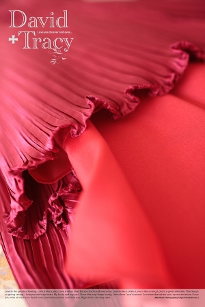 David + Tracy Wedding Record