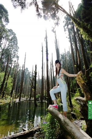 「nature」 ＊Angel＊