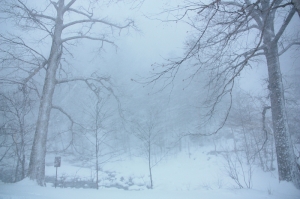 北海道之旅(二)