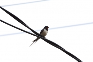 下雨天~出不去~在家玩玩