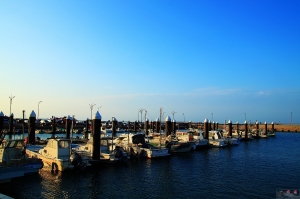 在海邊的日子|竹圍漁港 by浩子