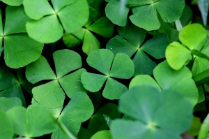 感覺有FU~找秋(重口味版29P)