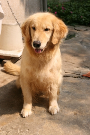 我的寶貝女兒們~~