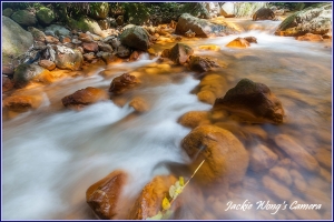 2012 杰克的隨拍 (48) 怨嘆ㄟ人生