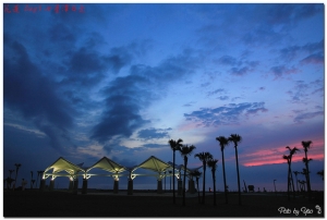 [遊記] 花蓮之旅 Day3. End.