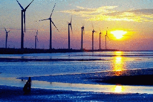 夕陽無限好，只是近黃昏-動畫篇