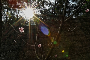 內湖白石湖吊橋之17-55畢業篇