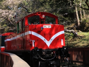 ☆ 阿里山遊記之森林火車篇 ☆