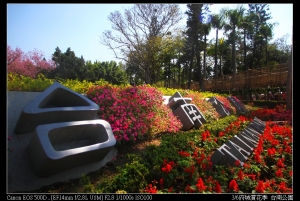 府城賞花季之台南公園