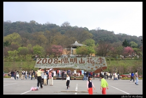 2008陽明山花季(風景篇)
