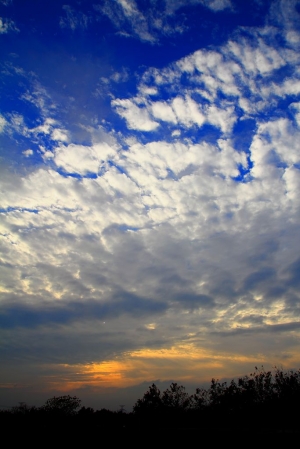 台中都會公園一張流