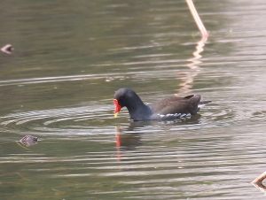黿頭渚雜拍側拍黑白拍