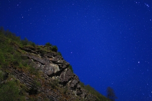 阿里山夫妻樹夜拍