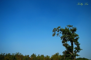 第三次到"佛陀紀念館"