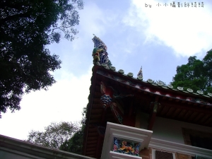 5歲的小小攝影師-綺綺(作品發表) Part II