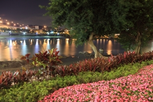 碧潭夜拍