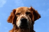 test test
