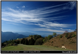 難得清靜的清境