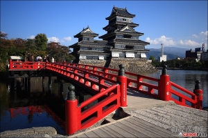 信州 精選★秋自然彩繪-楓姿舞★