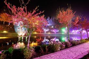 [夜景] 清境 小瑞士~
