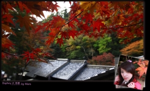 [Daphny] 回憶京都之秋