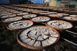 (chujy)20111204_南瀛文化之旅(下)