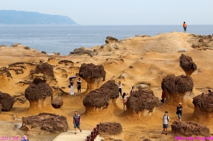 北海岸(5)-野柳地質公園