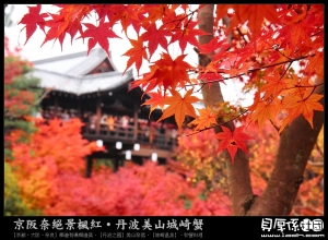 京都賞楓【東福寺通天橋．紅葉楓海超迷醉】