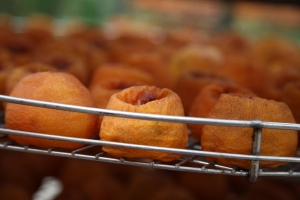 20081026-新埔柿餅半日遊