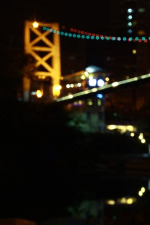 碧潭.夜