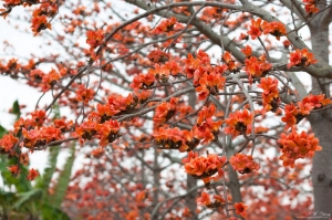 2012-03 台南行全紀錄