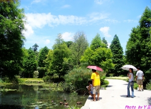 藍天白雲+美女=★好心情★