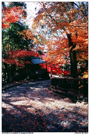 我在日本的日子-犬山城(正片版)