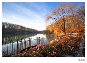 ::: My First Blackcard Photos 第一次搖黑卡  :::