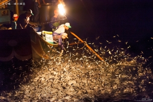 磺火捕魚 in 王公橋