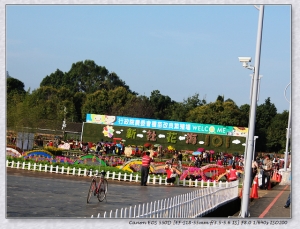 2012 新社花海