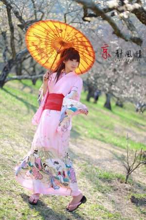 京都風情‧Cherry