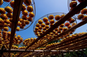 衛味佳柿餅季......人比柿餅還多!!