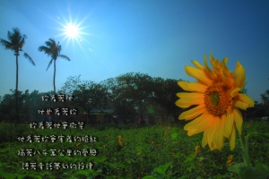 橋頭糖廠
