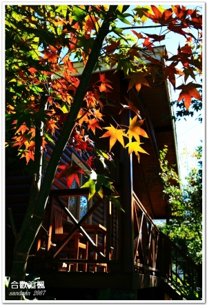 跟sandman出來玩18......合歡追楓