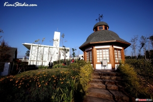 台中攝影新聖地－心之芳庭