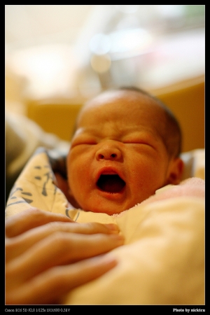 我的親親小外甥(50L)