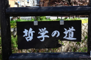 Kyoto, Japan - 桜の降りしきる京都 - VOL 1.1 - 哲學之道