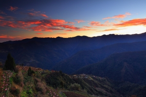 雪霸農場［四］－晨曦