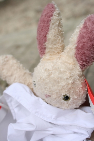 遲繳的大兔子開箱文(Anli)