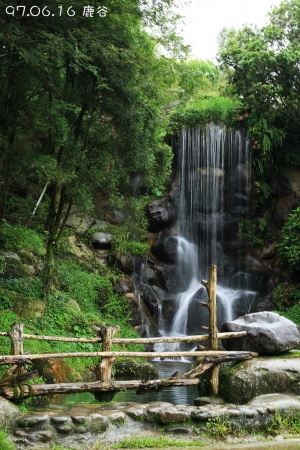 溪頭三天兩夜之旅‧第一天