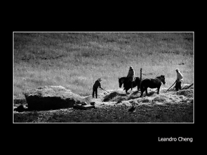 (黑白) 認真工作的人最美