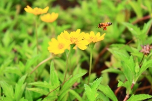 跟存摺到處拍拍