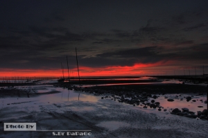 火紅之夏‧夕燒福寶